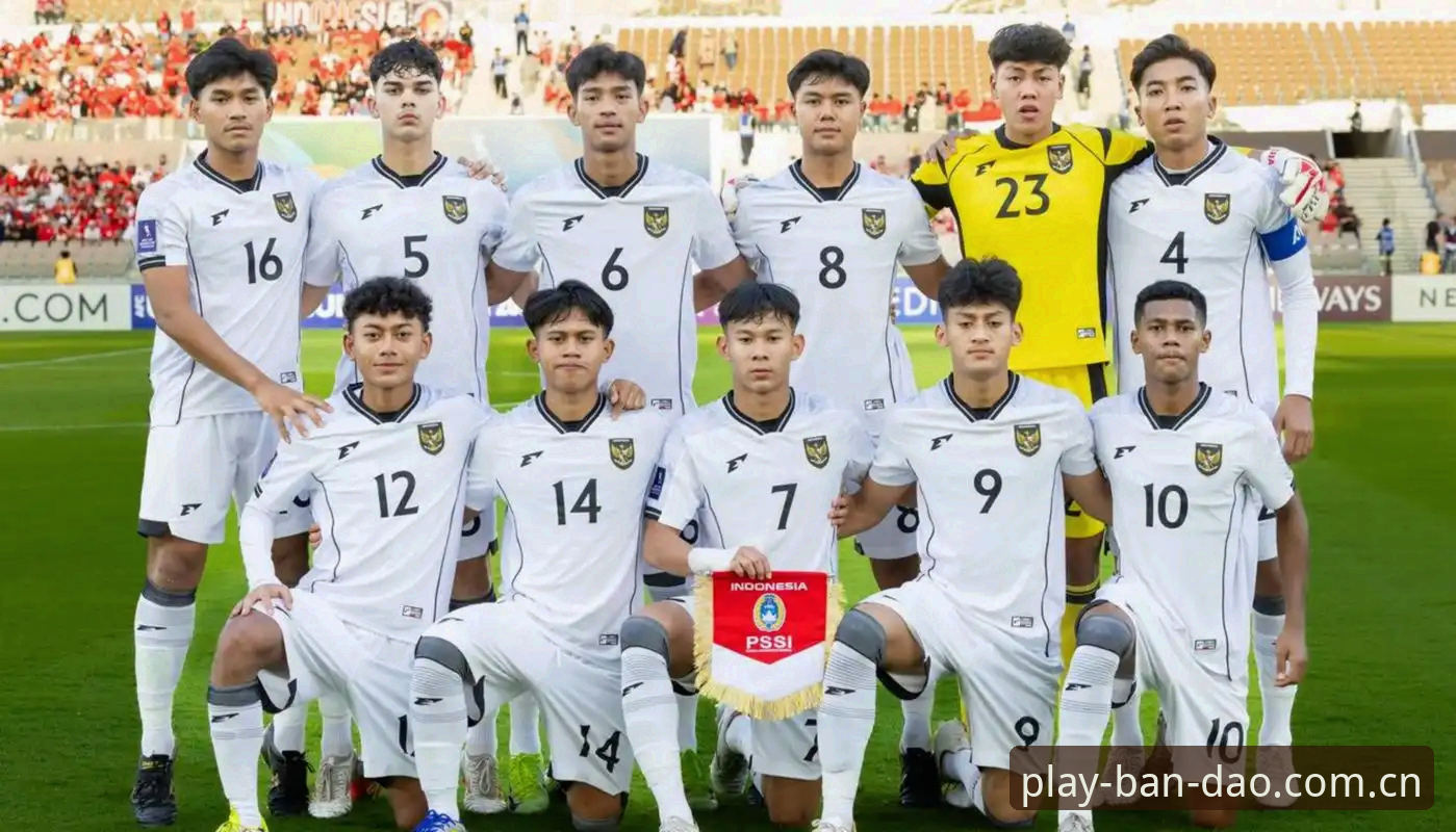 U17世界杯抽签揭晓最新动态，半岛体育平台深度解读中国青少年足球队前景