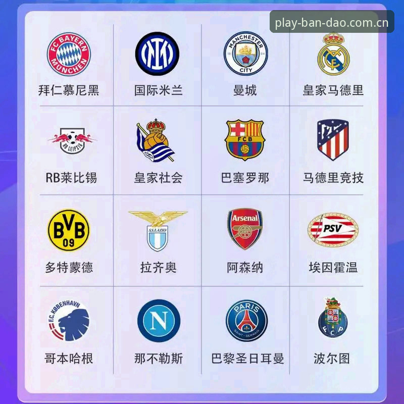 从欧联杯决赛看半岛体育App赛事追踪功能使用教程